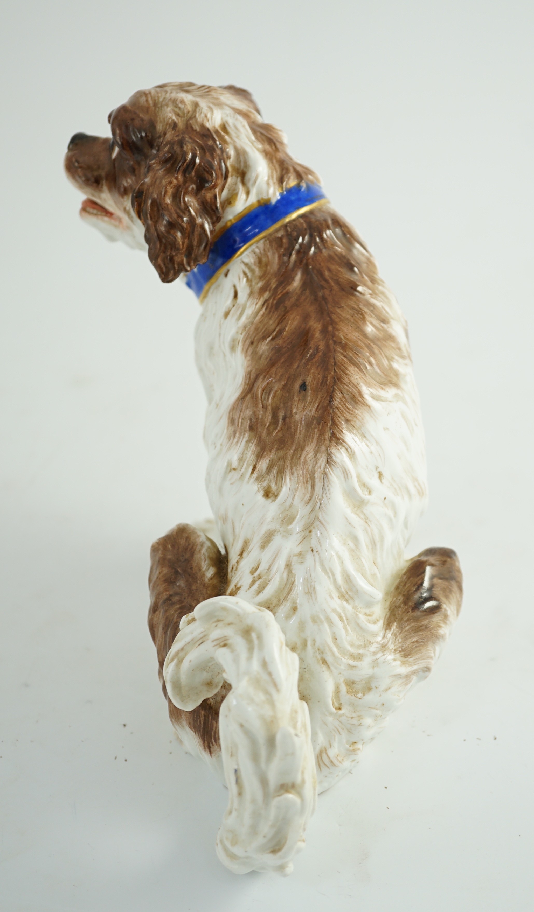 A Meissen seated figure of a German Wachtelhund (spaniel), 19th century, 19cm high, restoration and damage